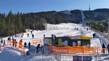 Widok na trasy Szczyrk - Jaworzyna w Centralnym Ośrodku Sportów