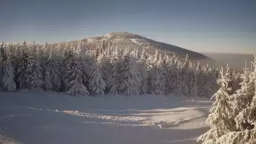 Widok na trasę zjazdową w Czarna Góra Resort Sienna