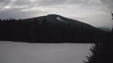 Widok na trasę zjazdową w Czarna Góra Resort Sienna