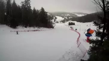 Stacja narciarska w pobliżu Pisarzowic - CZARNÓW SKI - zobacz online