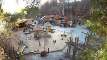 Magiczna Osada w Czarnym Groniu