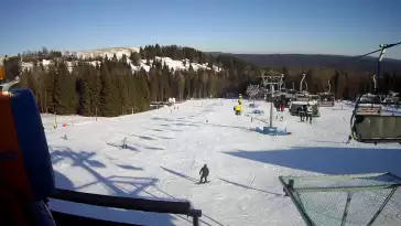 Wyciąg Diament w Kompleksie narciarskim Zieleniec zaprasza na narty.