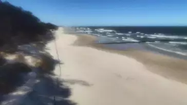 Wydmy w Dźwirzynie z kamery online.