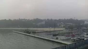 Widok na Marinę w Gdyni i nabrzeże młodych żeglarzy z kamery.