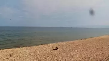 Widok na piękną, piaszczystą i szeroką plażę w Grzybowie w woj. zachodniopomorskim.