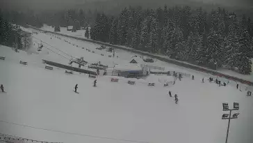 Widok z Kamery na dolny odcinek trasy w Jurgów -ski