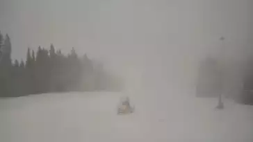 Kaniówka - widok z górnej stacji NOWOŚĆ