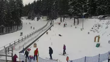 Widok z Kamery na wyciąg taśmowy w Karpacz Biały Jar.