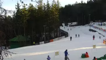 Widok z Kamery na wyciąg taśmowy w Karpacz Biały Jar.