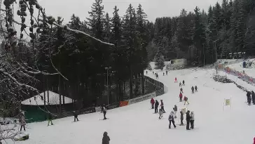 Widok z Kamery na wyciąg taśmowy w Karpacz Biały Jar.