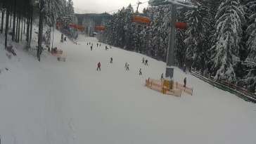 Widok z Kamery trasę narciarską w Karpacz Biały Jar.