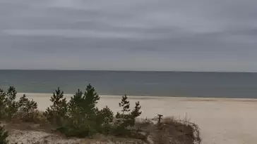 Obraz na żywo z plaży w Karwi