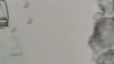 Hala Gąsienicowa w Tatrach z kamery na żywo.