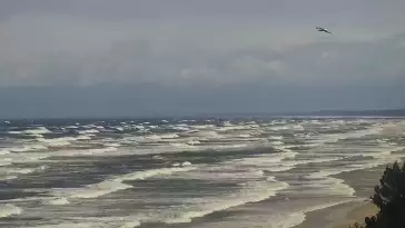 Widok na plażę i morze w Kątach Rybackich - zobacz