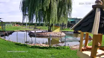 Obraz z kamery na oczko wodne w Ośrodku Rehabilitacji Dzikich Zwierząt Klekusiowo