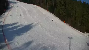 Widok na trasę narciarską nr6 w Kotelnicy Białczańskiej