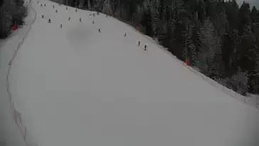 Widok na trasę narciarską nr6 w Kotelnicy Białczańskiej