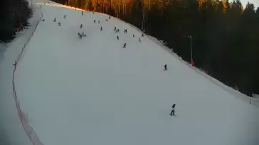 Widok na trasę narciarską nr6 w Kotelnicy Białczańskiej