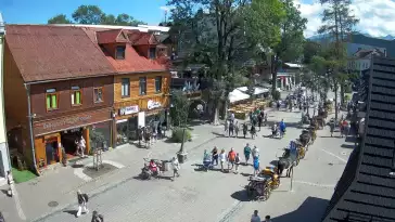 Kamera Zakopane na żywo widok na deptak