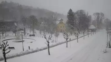 Widok na centrum Krynicy-Zdroju deptak, ścieżka, drzewa.