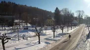 Widok na centrum Krynicy-Zdroju deptak, ścieżka, drzewa.