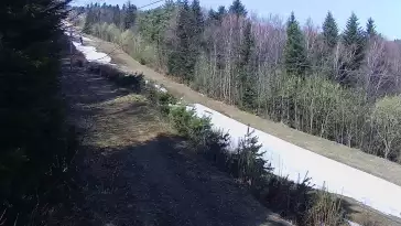 Widok na środkową część trasy zjazdowej w stacji narciarskiej Laskowa Ski