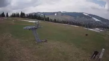 Litwinka Grapa w Czarnej Górze - widok na stok narciarski