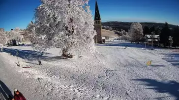 Zieleniec Sport Arena - stok Mieszko NOWOŚĆ