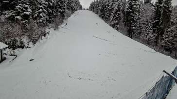 Widok na trasę zjazdową w Stacji Narciarskiej Myślenice-ski