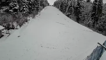 Widok na trasę zjazdową w Stacji Narciarskiej Myślenice-ski