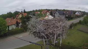 Widok na gniazdo bociana w miejscowości Pasłęk.