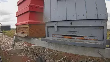 Widok na wlot do ula