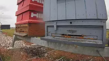 Widok na wlot do ula