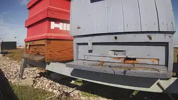 Widok na wlot do ula