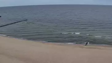 Widok z Kamery na plażę w Rewalu