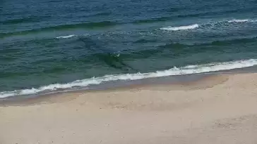 Widok na Promenadę i Plażę w Sarbinowie