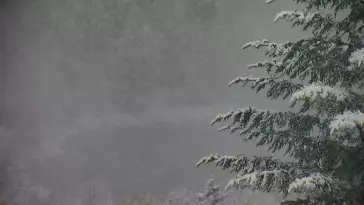 Widok z pienińskiego schroniska Orlica