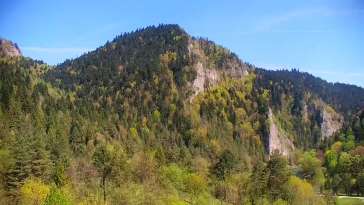 Widok na żywo na panoramę Sromowców Niżnych i rzekę Dunajec