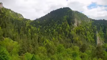 Widok na żywo na panoramę Sromowców Niżnych i rzekę Dunajec