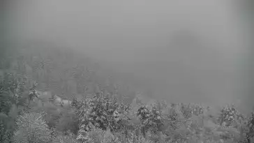 Widok na żywo na panoramę Sromowców Niżnych i rzekę Dunajec