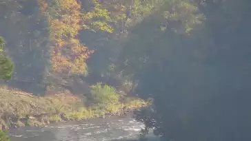 Widok na żywo na panoramę Sromowców Niżnych i rzekę Dunajec