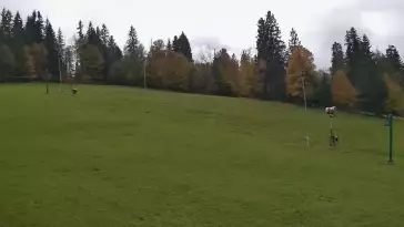 Widok z Kamery na dolny odcinek orczyka Jędrol Suche ski