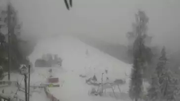 Widok z Kamery na stok narciarski Szczawnica Palenica