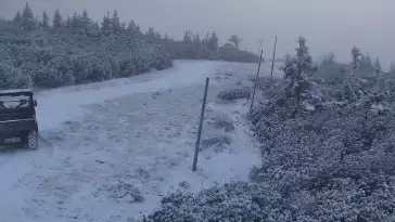 Doskonały punkt widokowy na Kotlinę Jeleniogórską oraz Góry Izerskie, a także Karkonosze czeskie.