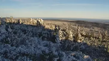 Doskonały punkt widokowy na Kotlinę Jeleniogórską oraz Góry Izerskie, a także Karkonosze czeskie.