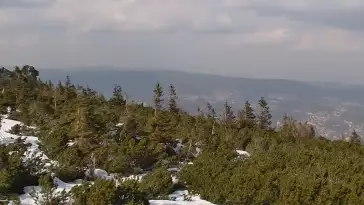 Doskonały punkt widokowy na Kotlinę Jeleniogórską oraz Góry Izerskie, a także Karkonosze czeskie.