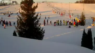 Kamera stałopozycyjna prezentuje widok na orczyk w miejscowości Trzepowo w województwie pomorskim