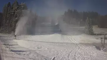 Widok z Kamery na stację narciarską TYLICZ.SKI