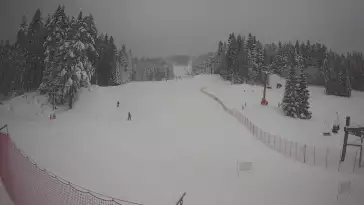 Widok z Kamery na stację narciarską TYLICZ.SKI
