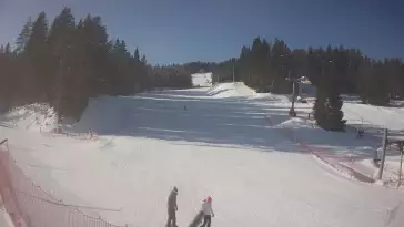 Widok z Kamery na stację narciarską TYLICZ.SKI